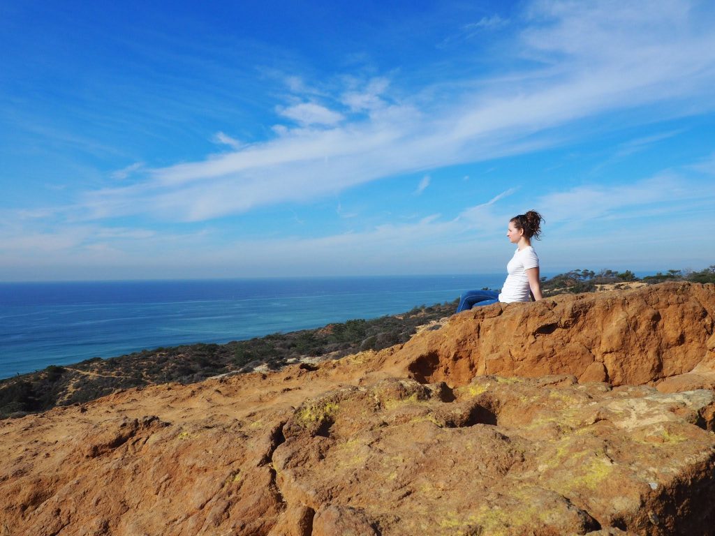 Torrey Pines State National Park