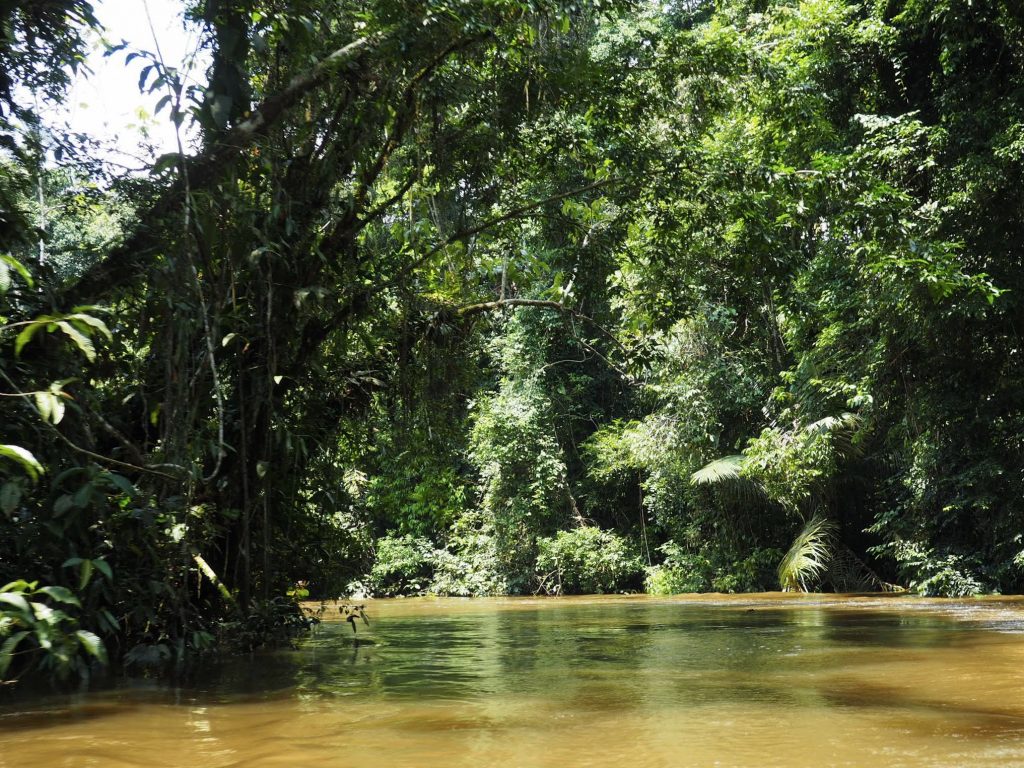 Découvrir Amazonie 4 jours Equateur